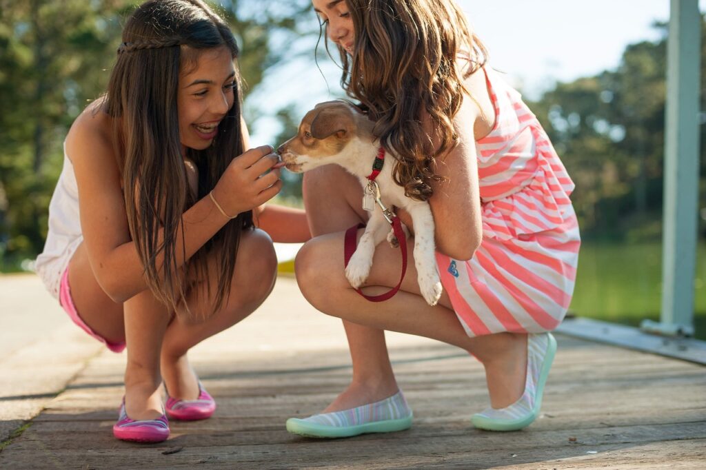 Animal Shelter Drives: Empowering Kids with Compassion
